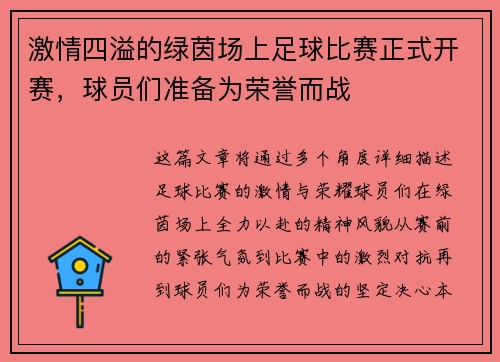 激情四溢的绿茵场上足球比赛正式开赛，球员们准备为荣誉而战