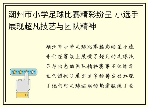 潮州市小学足球比赛精彩纷呈 小选手展现超凡技艺与团队精神